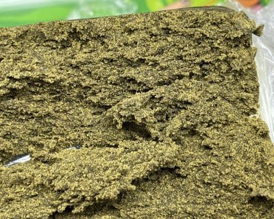 BUDGET HASH - Image 1